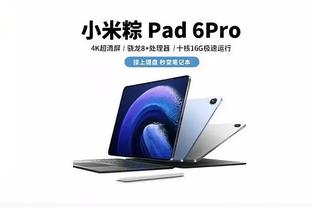 开云最新app下载